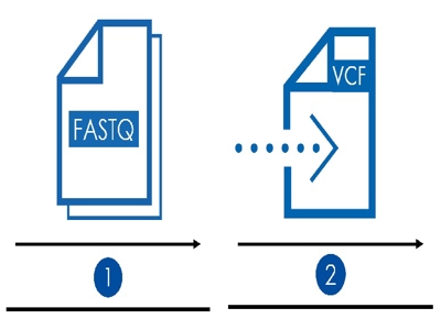 تبدیل فایل Fastq به VCF