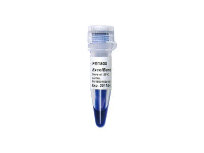پروتئین مارکر تک رنگ- آبی[PM1500]